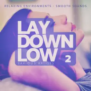Lay Down Low, Vol. 2