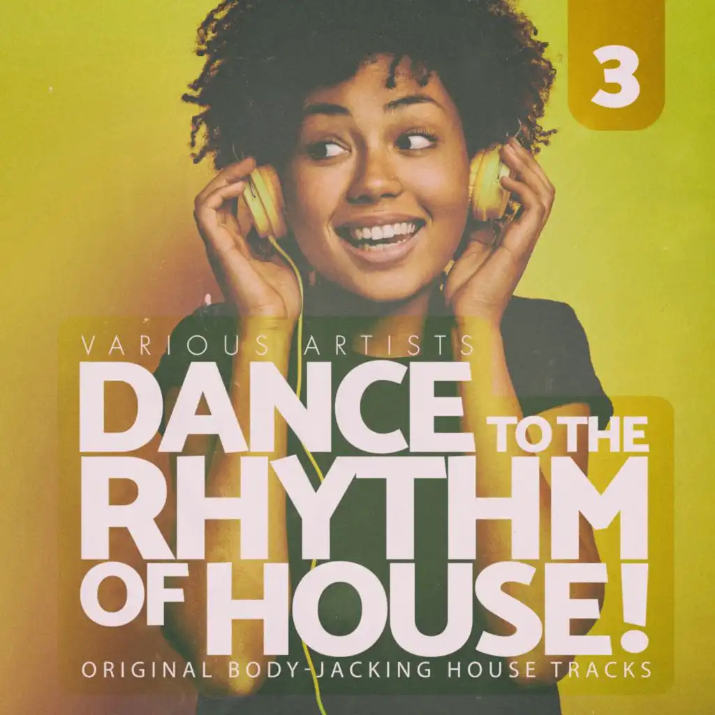 Dance to the Rhythm of House!, Vol. 3