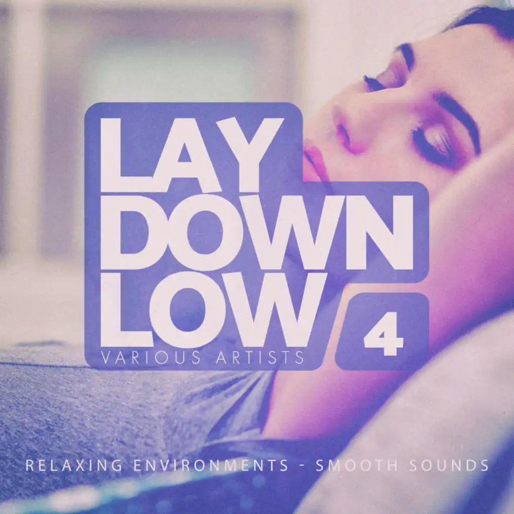 Lay Down Low, Vol. 4
