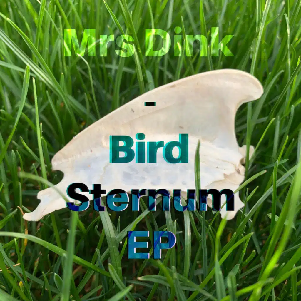 Bird Sternum EP