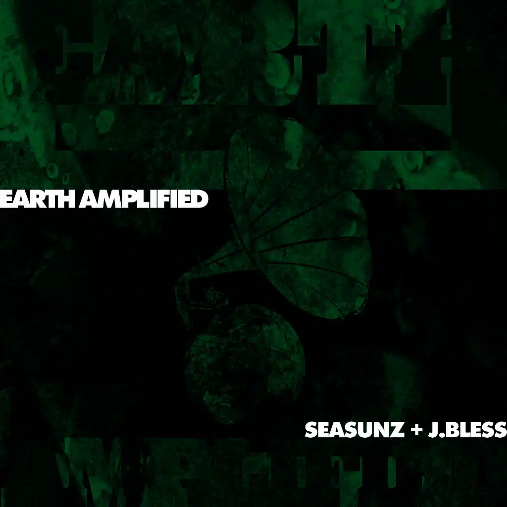 Earth Amplified