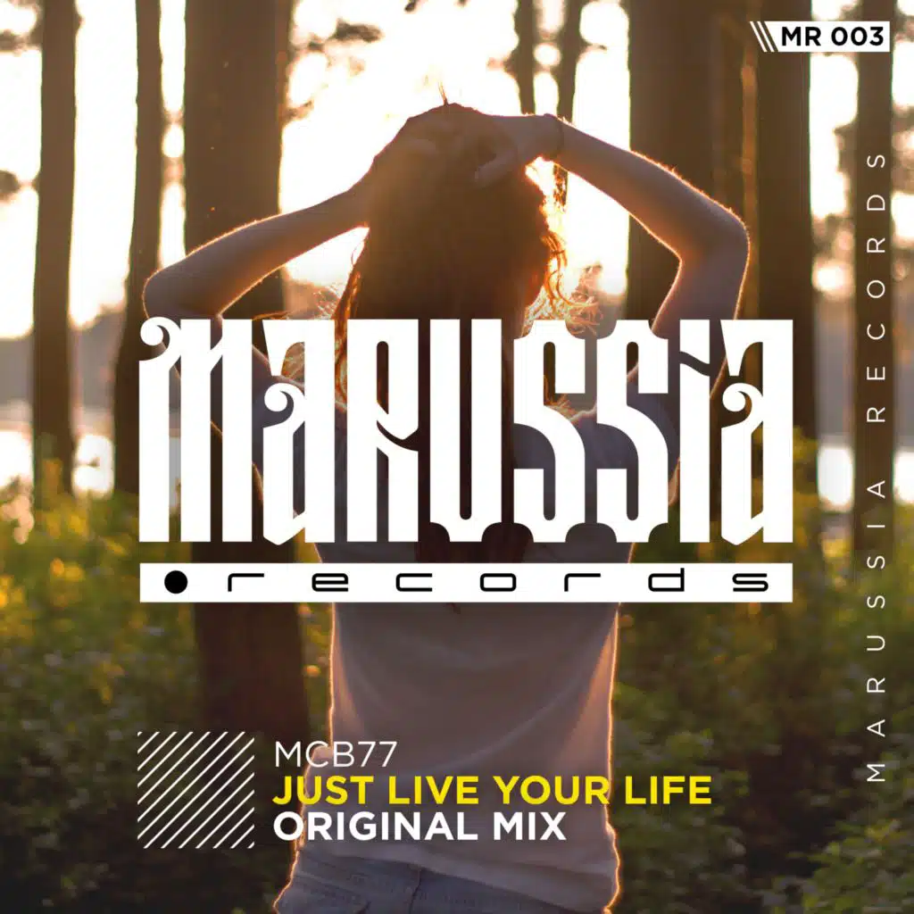 Just Live Your Life (Radio Edit)