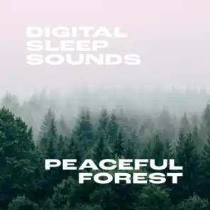 Peaceful Forest