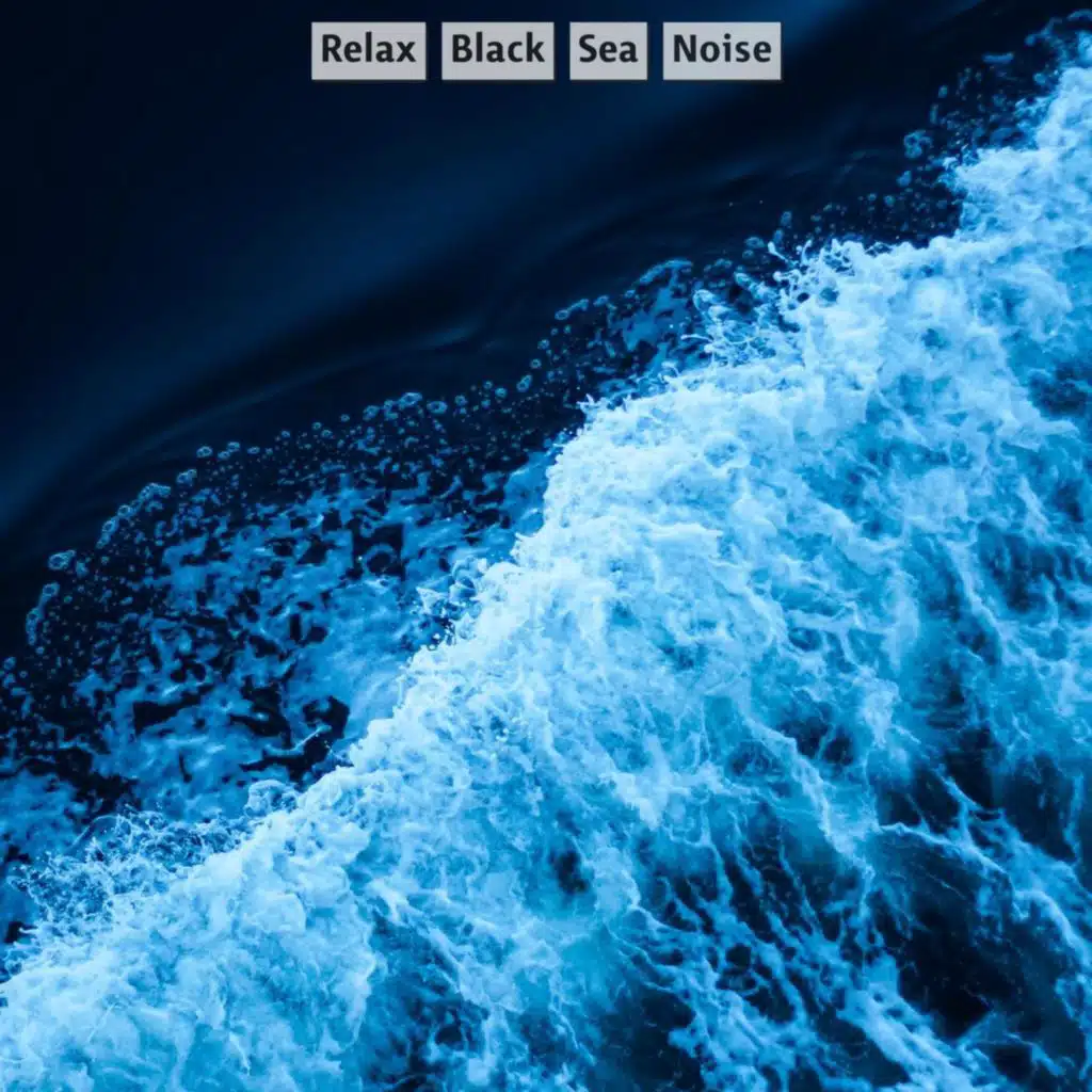 White Noise Studio USA