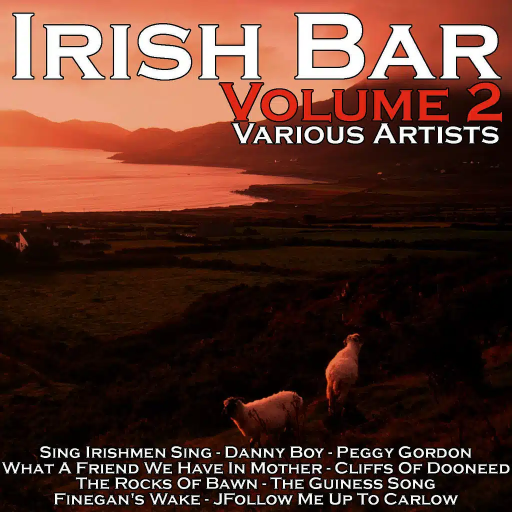 Irish Bar Volume 2