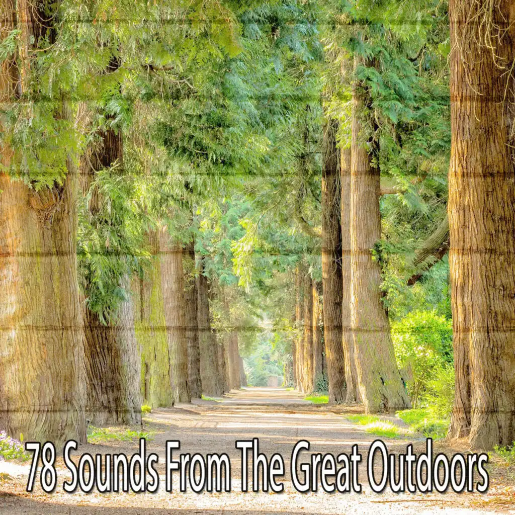 78 Sounds from the Great Outdoors