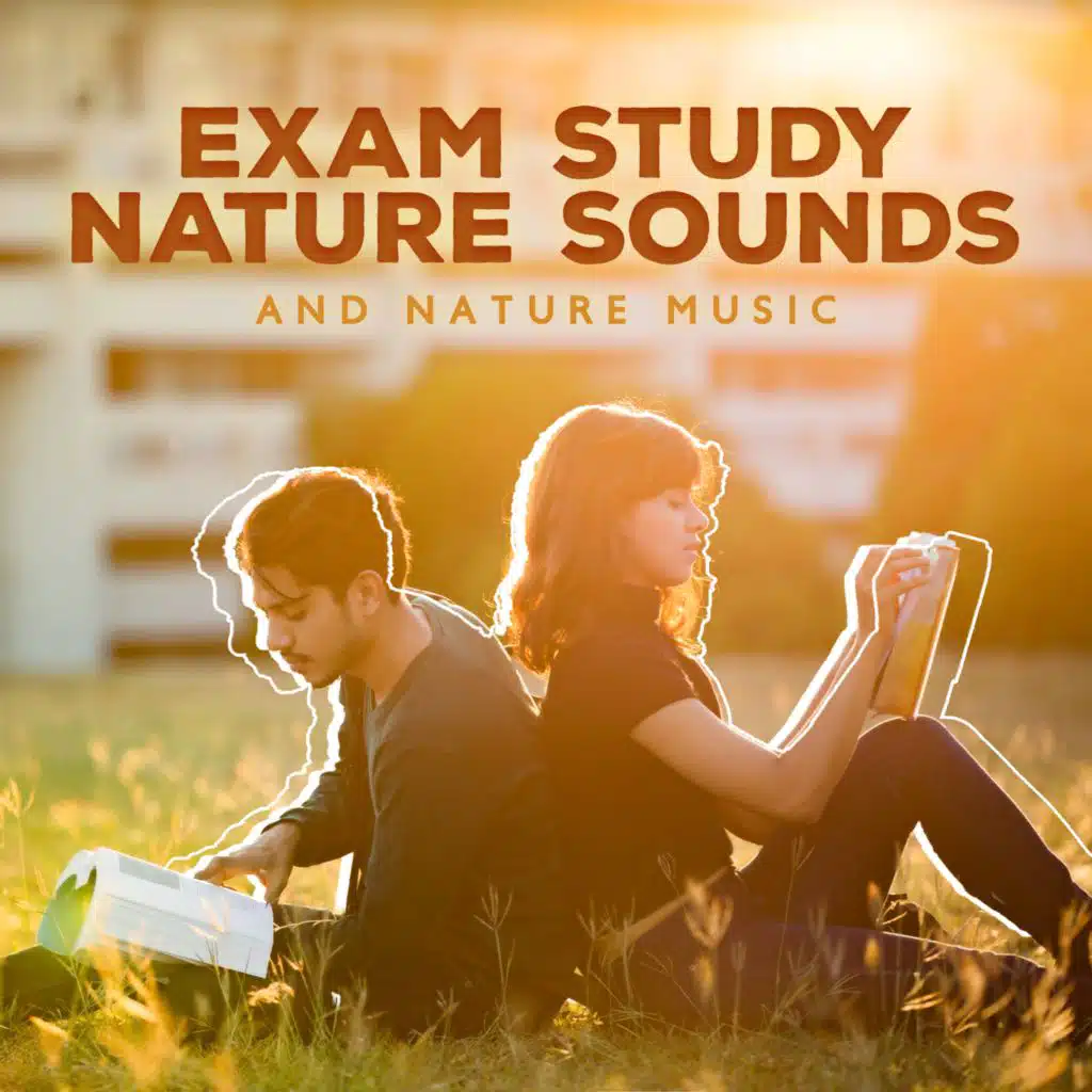 Exam Study Nature Sounds and Nature Music (Concentration and Focus on Learning  Increase Brain Power, Natural Study Music for Relaxation)