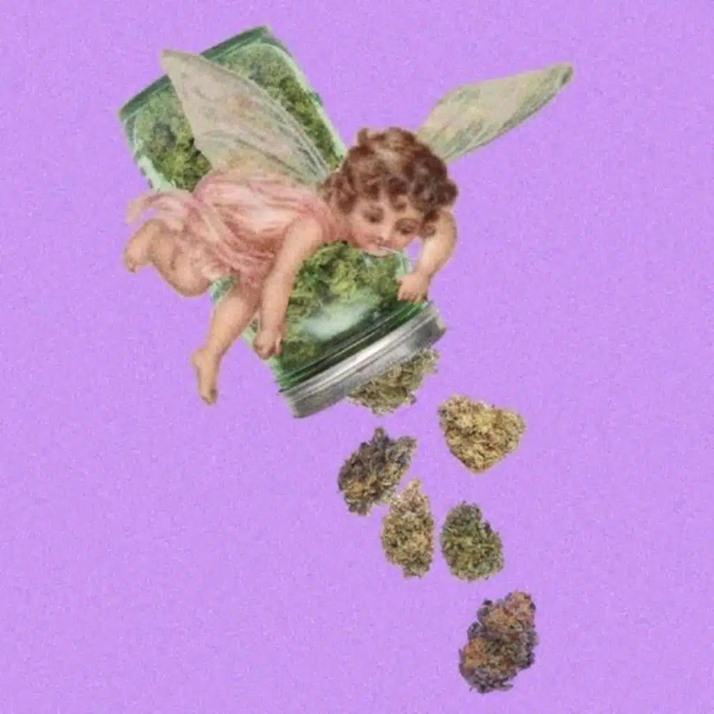 John Donnell's Purple Socks (with Shoota)