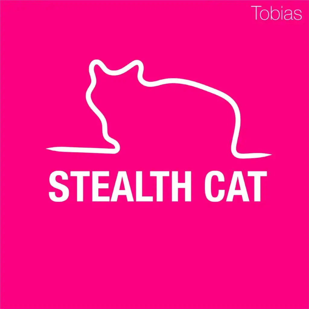STEALTH CAT