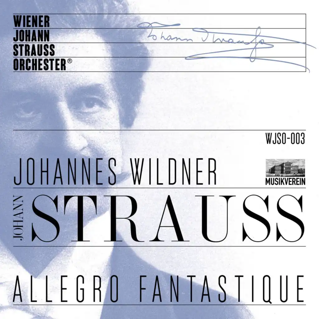 Allegro fantastique - Live recorded at Musikverein Vienna (Live)