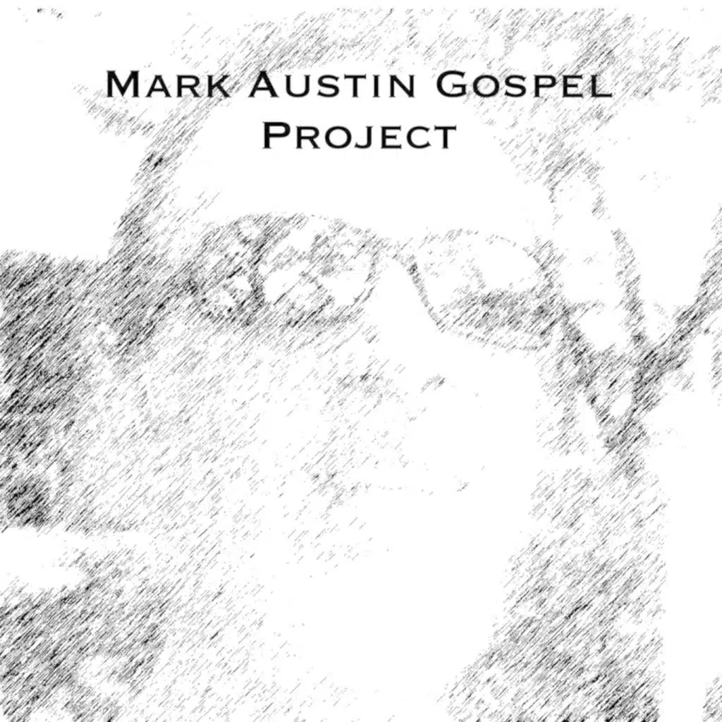 Mark Austin Band