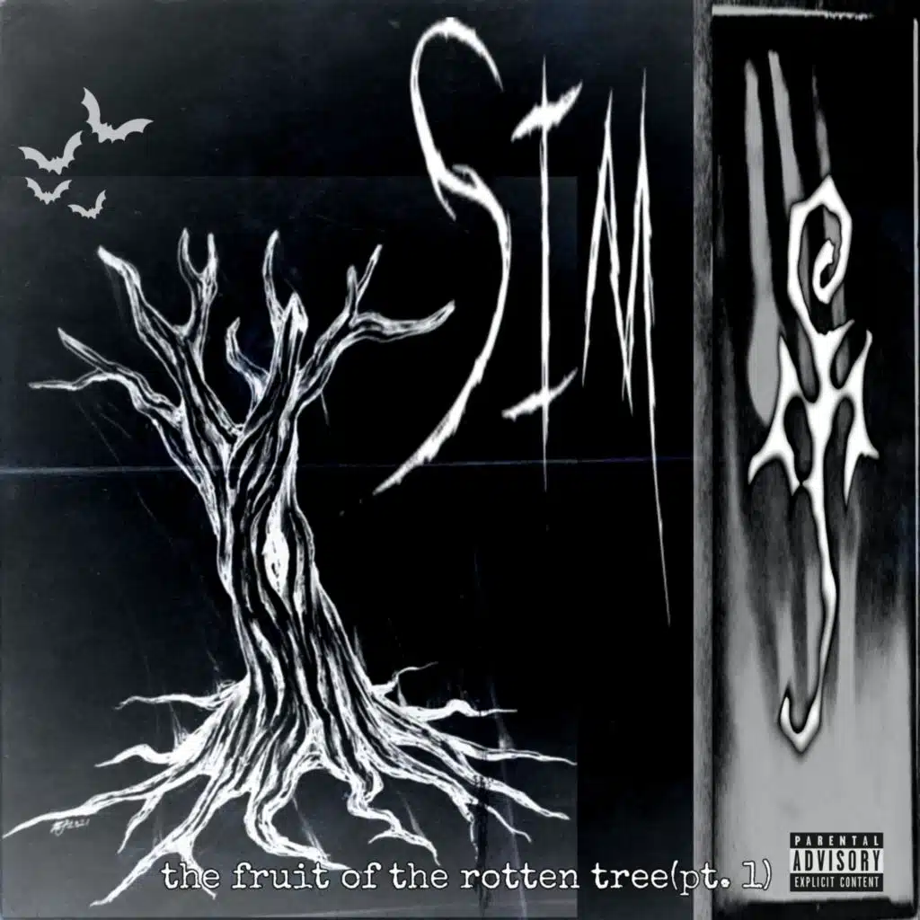 insect ways (spider webs mix)