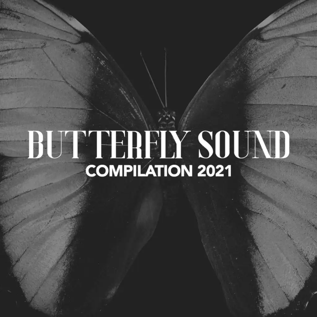 BUTTERFLY SOUND COMPILATION 2021