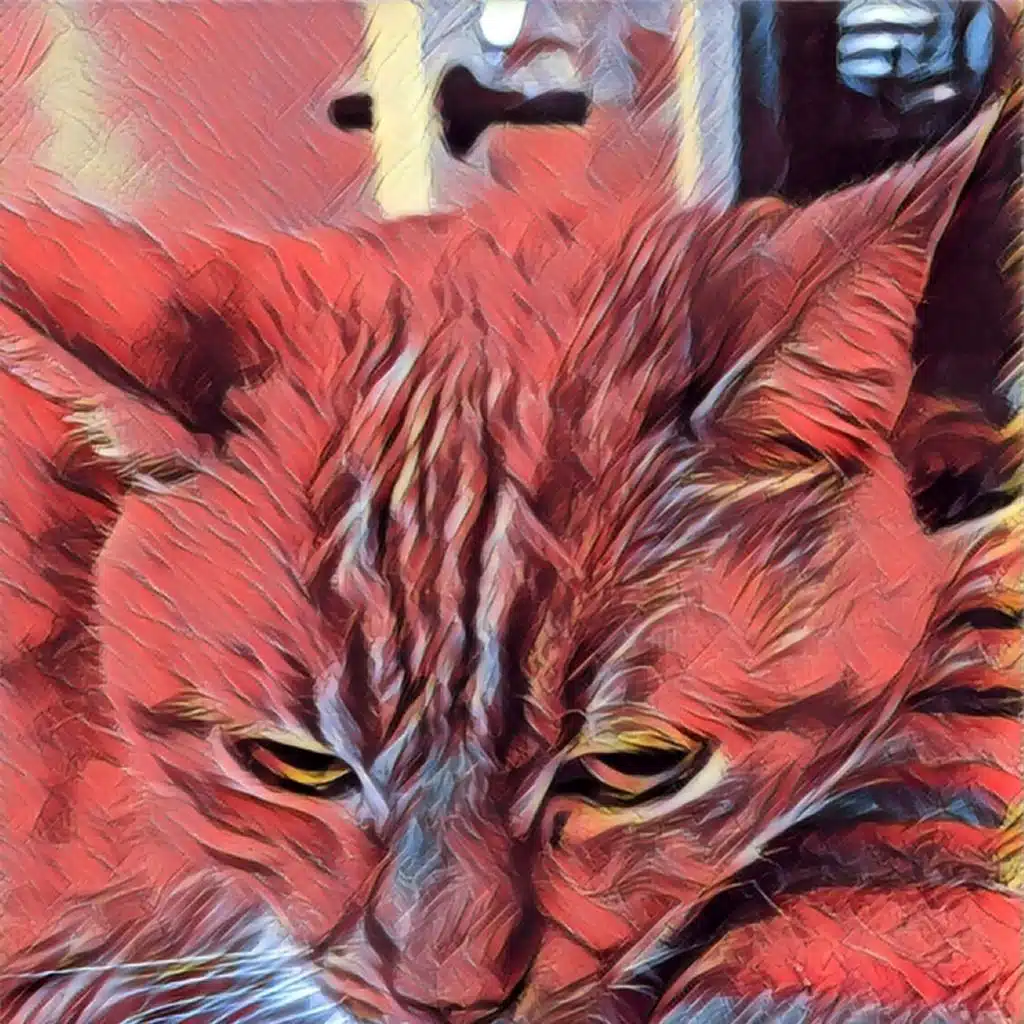 App of year Prisma adds community features