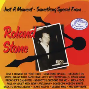 Just a Moment - Something Special from... Roland Stone