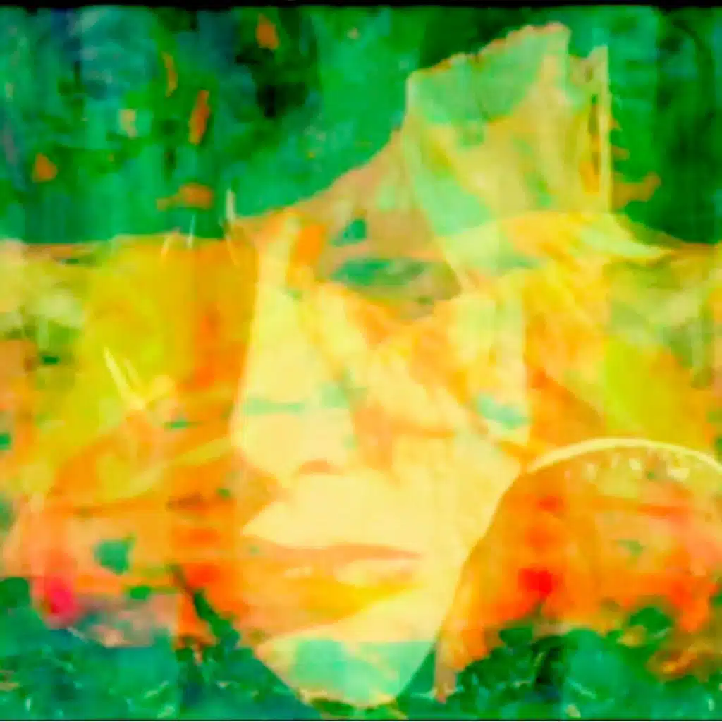 INDIA & The Reflex Artists