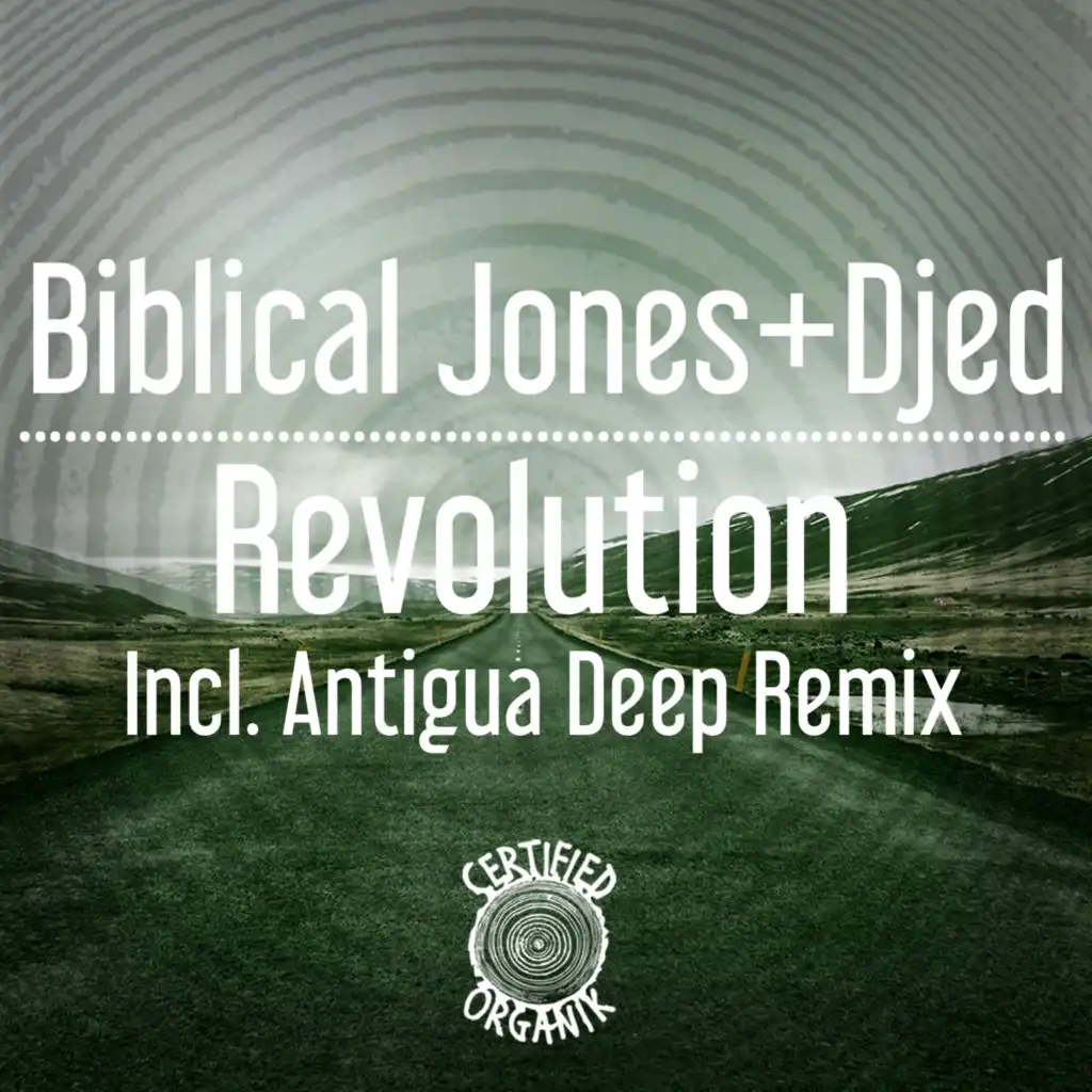 Revolution (Antigua Deep Instrumental Remix)