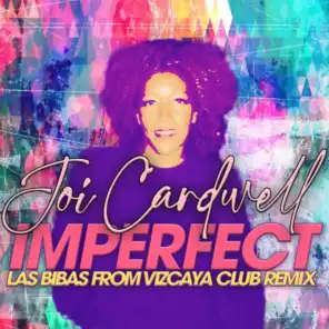 Imperfect (Las Bibas from Vizcaya Remixes)