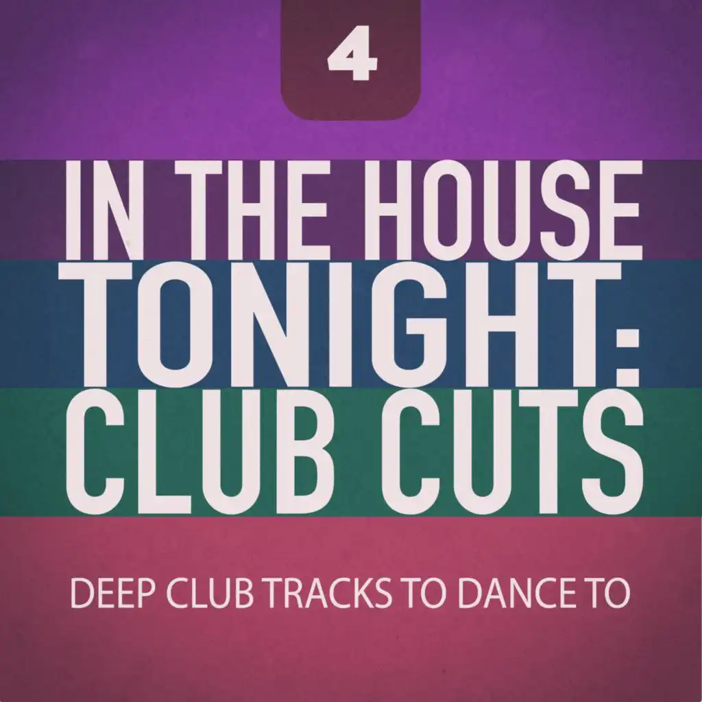 In the House Tonight: Club Cuts, Vol. 4