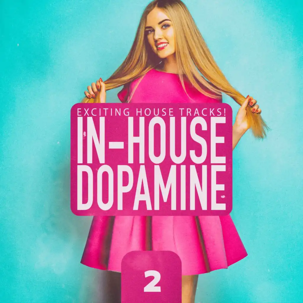 In-House Dopamine, Vol. 2