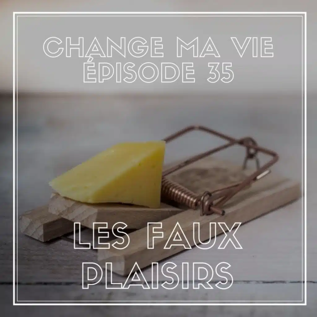 (035) Les Faux Plaisirs