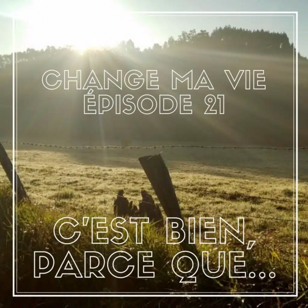(021) C'est bien, parce que…