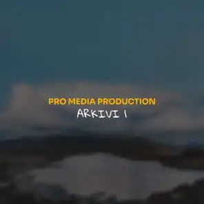 Produksioni Pro Media