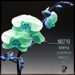 Vaveyla, Pt. 1 (Remixes)