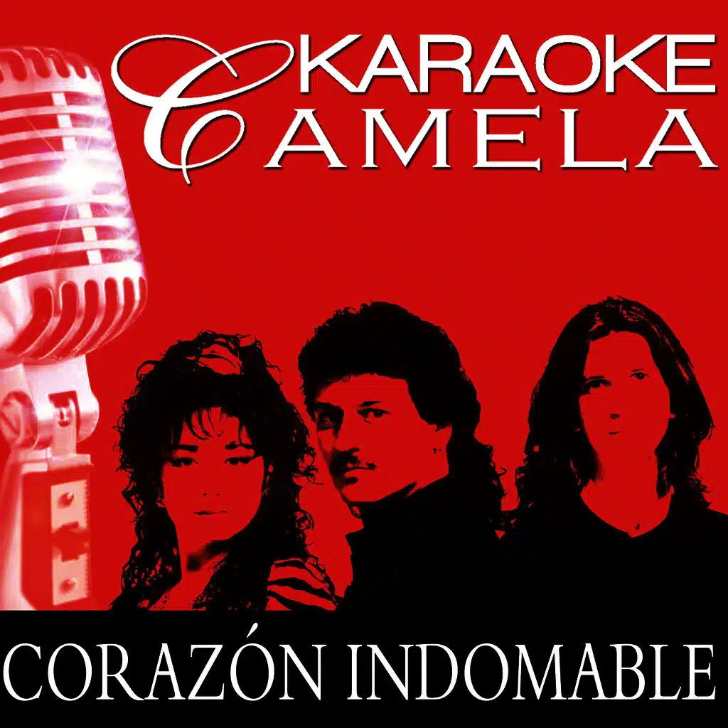 Karaoke Camela Solo Por Ti Playback