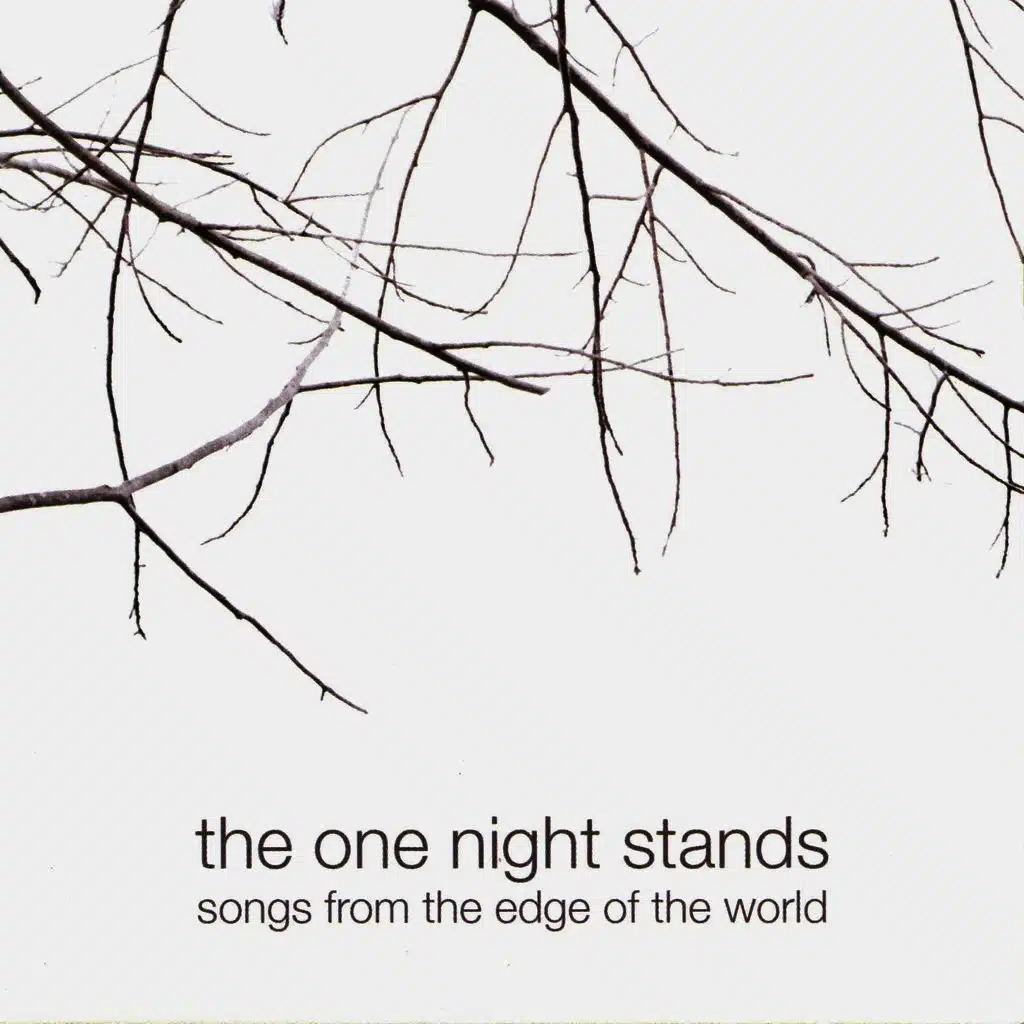 The One Night Stands