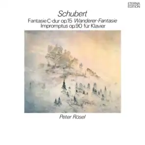 Schubert: Wanderer-Fantasie / Impromptus, Op. 90