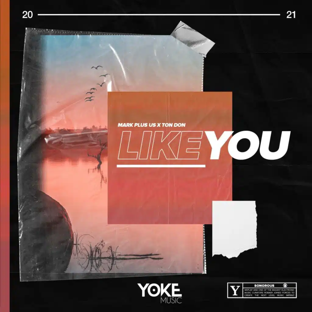Like You (Extended)