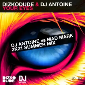 DJ Antoine & Dizkodude