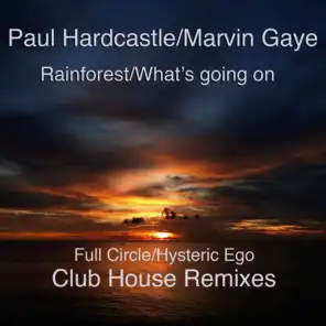Rainforest/What's Going On (Hysteric Ego Mix) [ft. Marvin Gaye ]