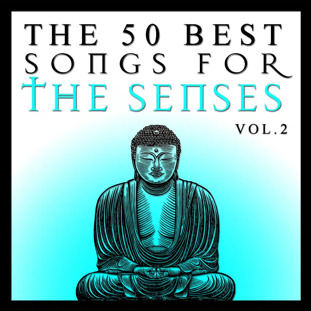 The 50 Best Songs for the Senses Vol.2
