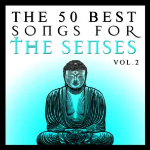 The 50 Best Songs for the Senses Vol.2