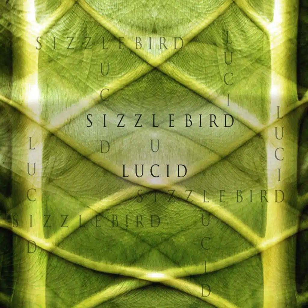 Close Your Eyes (feat. Laura Hahn)