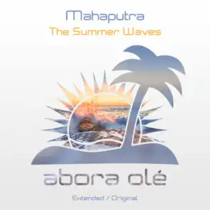 The Summer Waves (Extended Mix)