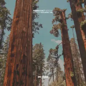 Sequoia (feat. Mass Digital & VieL)