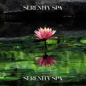 Serenity Spa - Zen Reiki Meditation Music, Relaxation Therapy Music for Massage, Yoga, Sleep and Study, Healing Nature Sounds