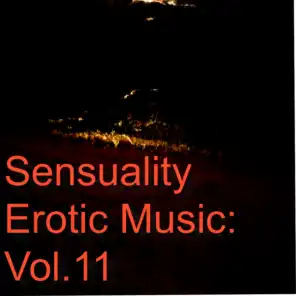 Sensuality Erotic Music: Vol.11