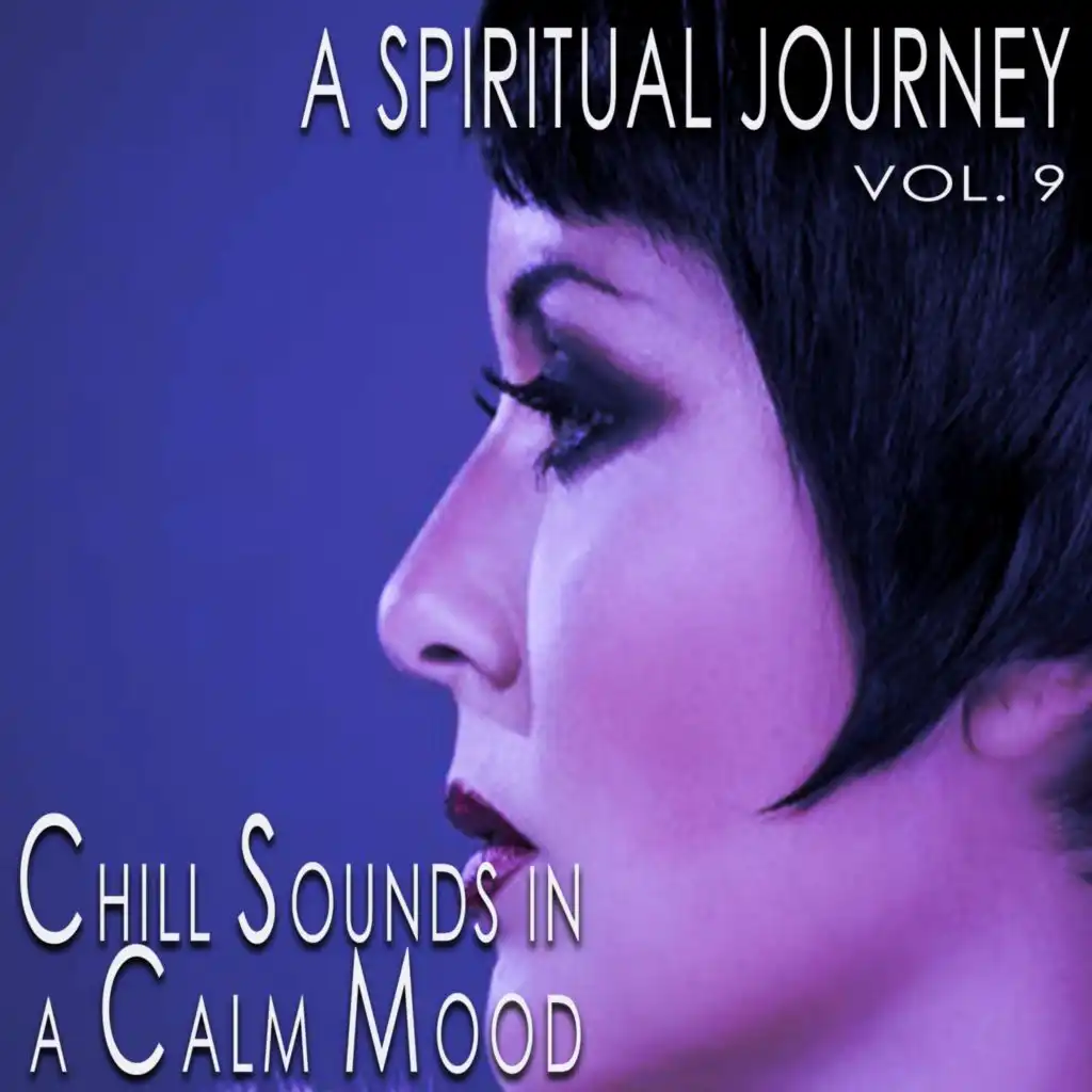 A Spiritual Journey, Vol. 9