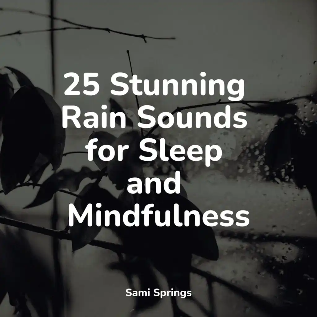 25-stunning-rain-sounds-for-sleep-and-mindfulness-by-sound-healing