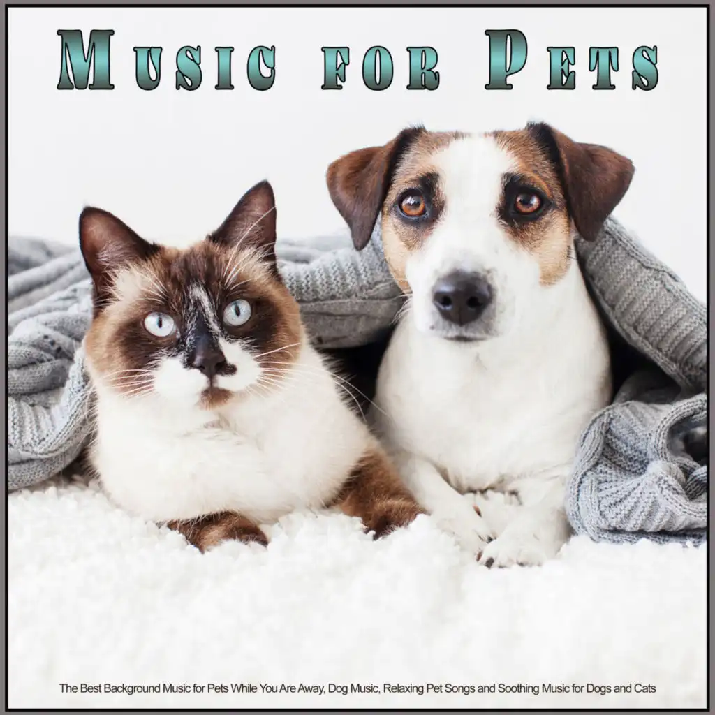 Relaxing Music For Pets While You're Away