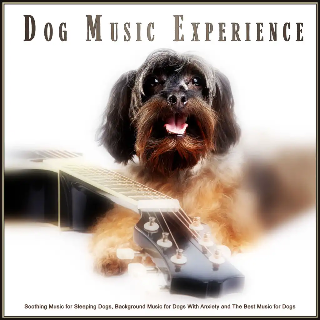 Soothing Music for Pets