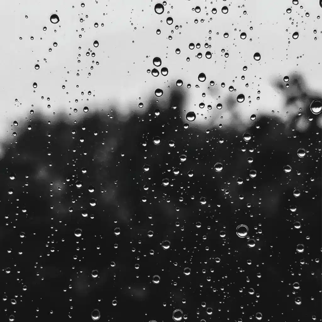 Nature Soundscapes: Mid-Summer Rainy Day