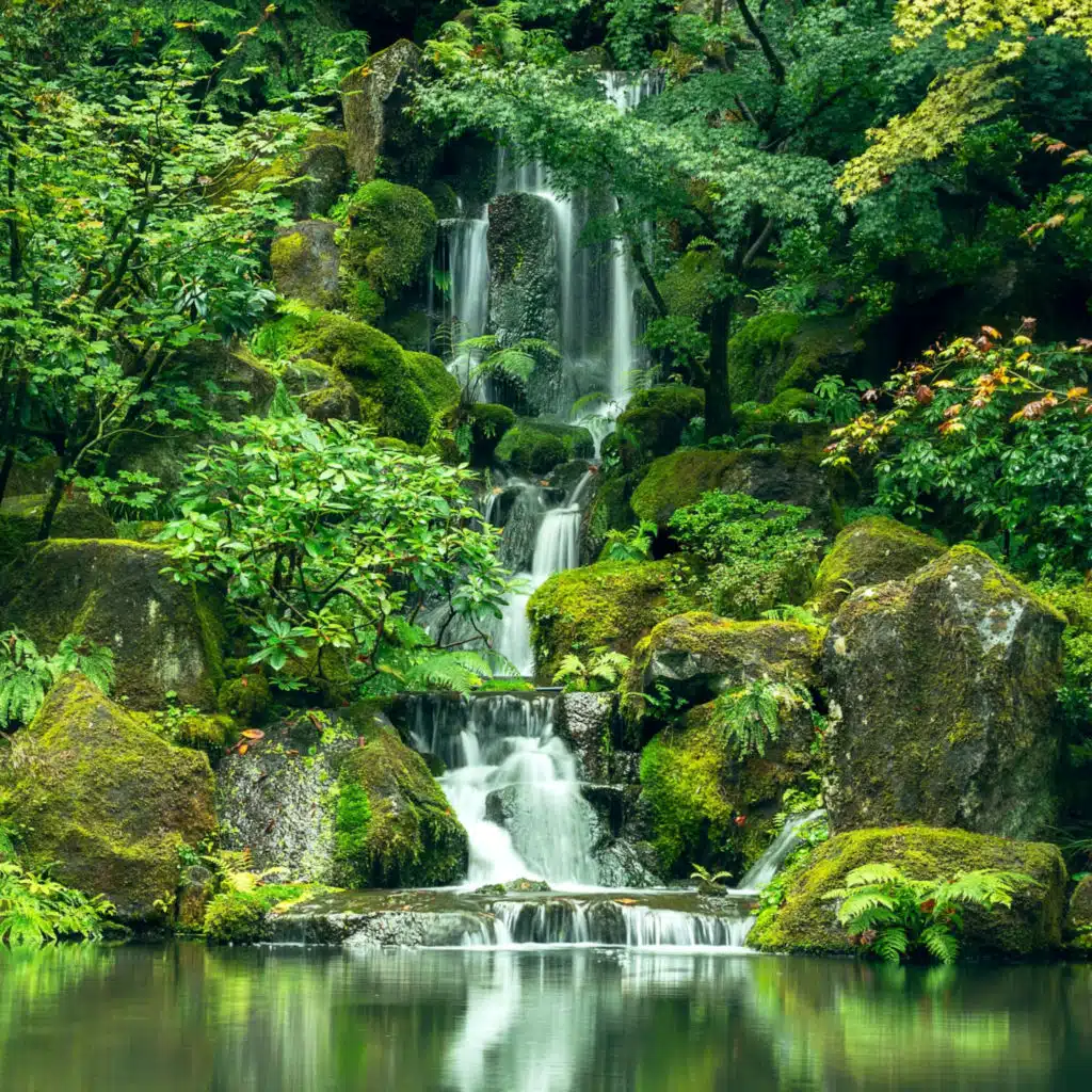 Nature Soundscapes: Sounds of Water, Lakes, Streams