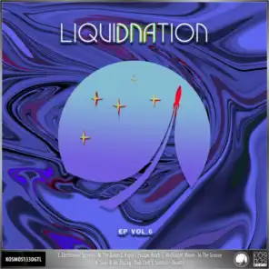 V/A LiquiDNAtion EP Vol.6