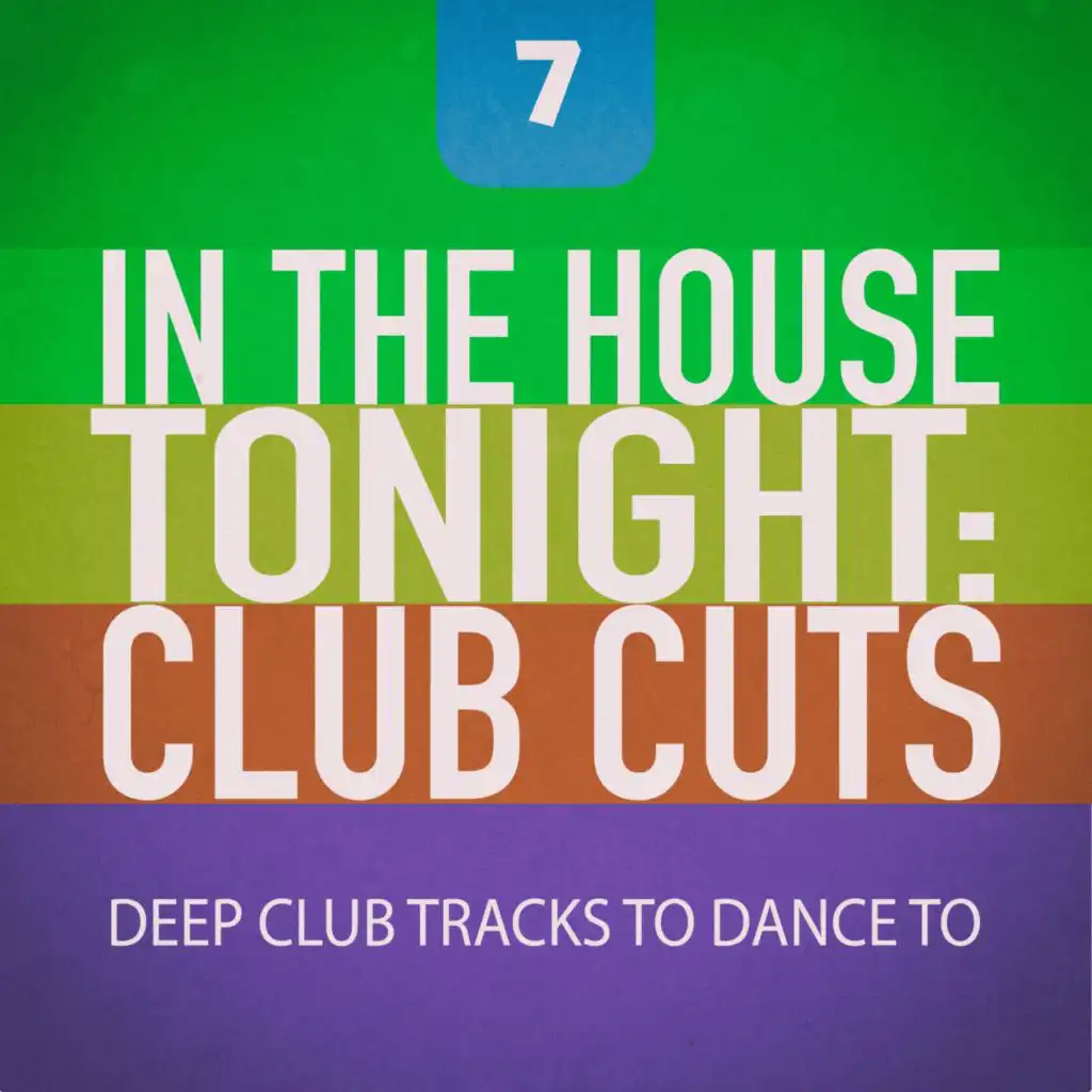 In the House Tonight: Club Cuts, Vol. 7