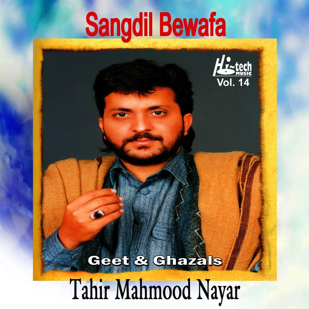 Sangdil Bewafa Vol. 14 (Geet & Ghazals)